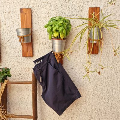 Chesapeake' s Bermuda...