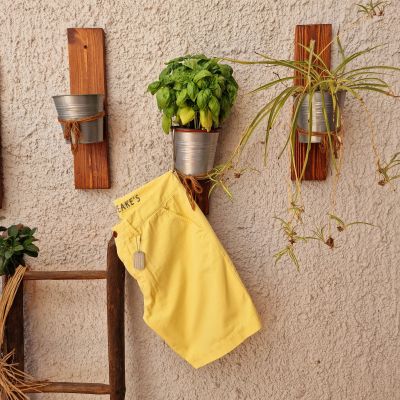 Chesapeake' s Bermuda...