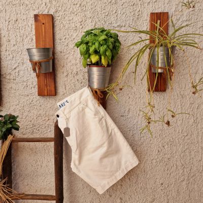 Chesapeake' s Bermuda...