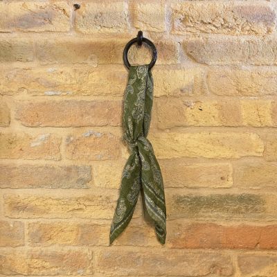 Chesapeake's Bandana El...